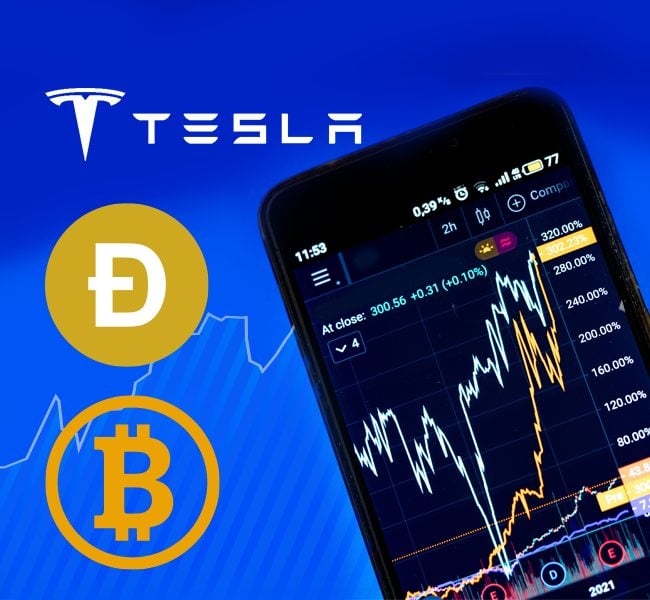 Market Winners: Bitcoin, Tesla, Dogecoin, and more!