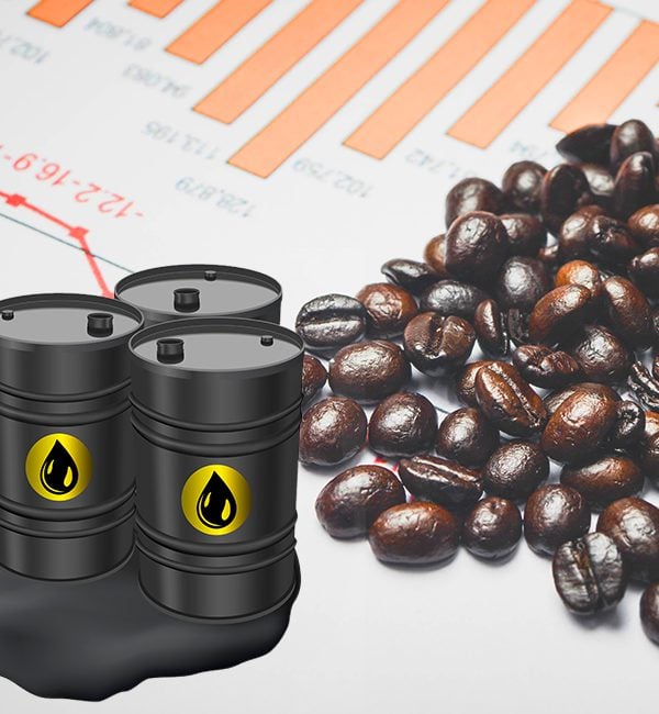 What happened in commodities 2021