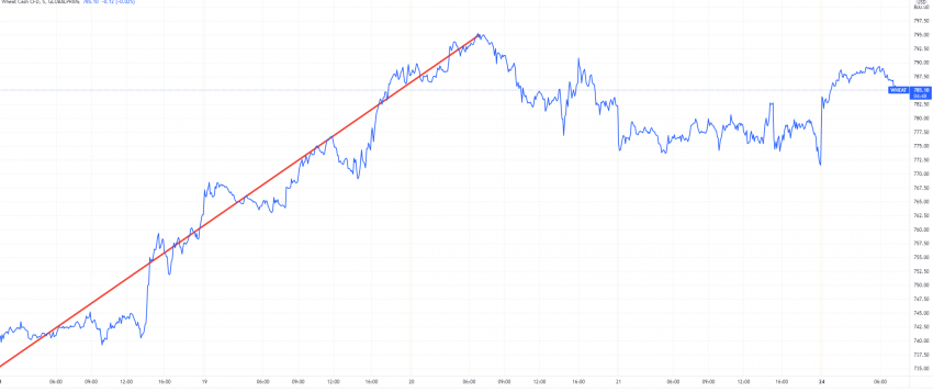Market winners: Coca-cola, gold, wheat, and more!  