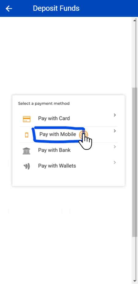 M Pesa